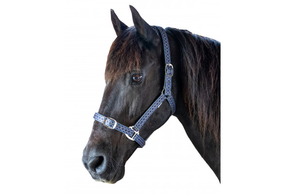 Prima Plus Cheyenne Web Halter