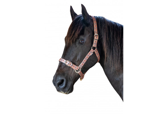 Prima Plus Nvyajo Web Halter