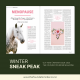 The Foundation Rider Magazine Winter