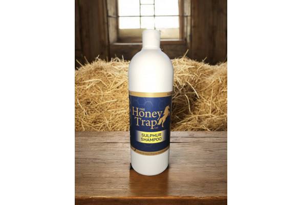 The Honey Trap Sulphur Shampoo