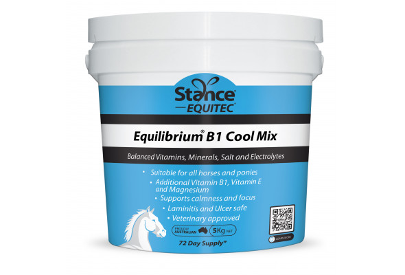 AHD Equilibrium B1 Blue Cool Mix