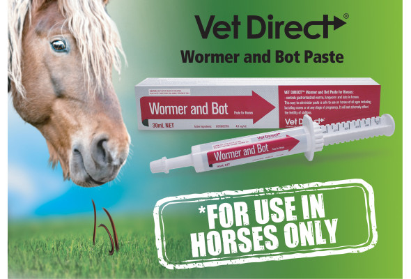 Vet Direct Wormer and Bot Paste