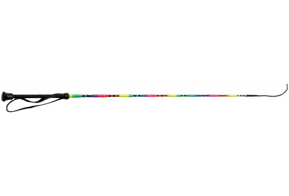 Dressage Whip Rainbow