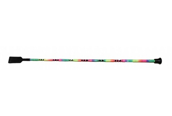 Rainbow Whip