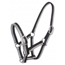 Zilco Sparkle Foal Halter