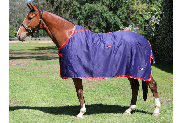 Zilco Show Circuit Cotton Rug