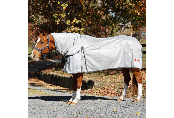 Zilco Econo-Air Combo