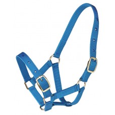 Zilco Gymkhana Foal Halter