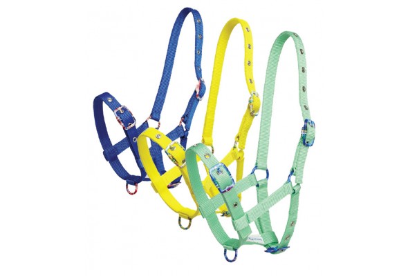 Zilco Foal Halter